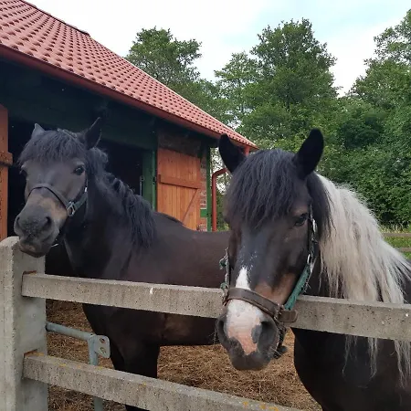アパート Lisia Gora Nad Jeziorem Lebsko Izbica (Pomerania)