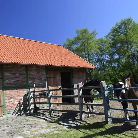 Daire Lisia Gora Nad Jeziorem Lebsko *