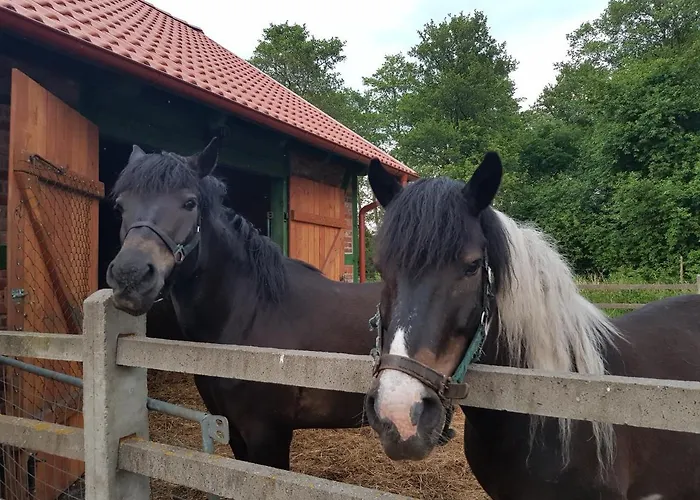 Апартаменты Lisia Gora Nad Jeziorem Lebsko Izbica (Pomerania)