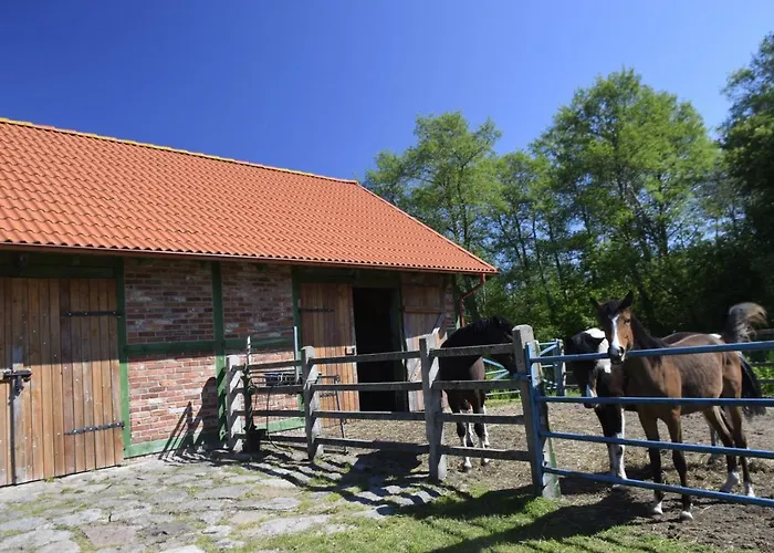 Апартаменты Lisia Gora Nad Jeziorem Lebsko *